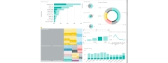 Dashboards and Reports